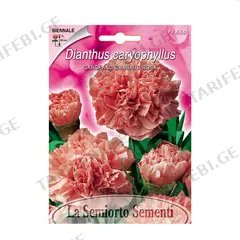 მიხაკის თესლი Carnation PINK