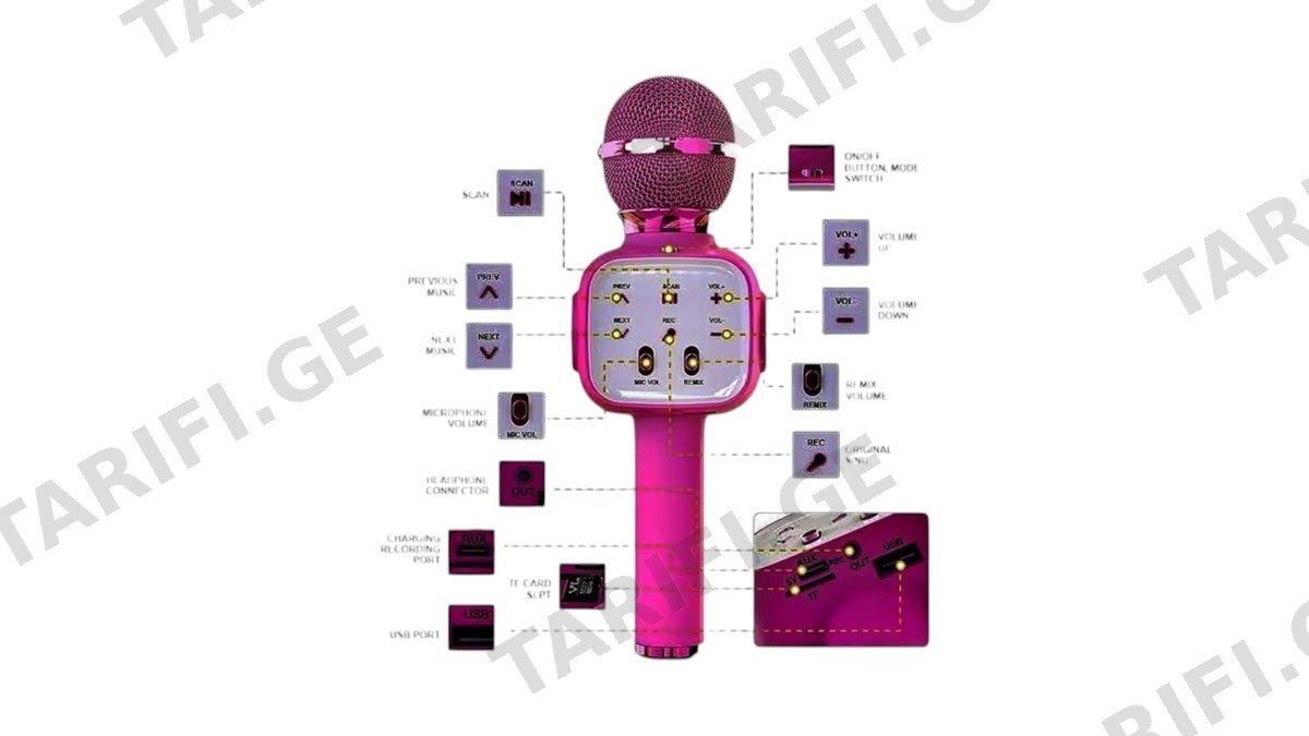 Karaoke Microphone pink