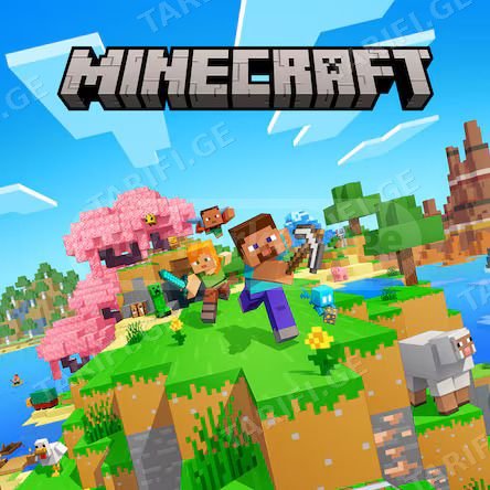 Minecraft PS4&PS5