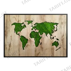სურათი Styler GD003 GREEN MAP 70x100 სმ