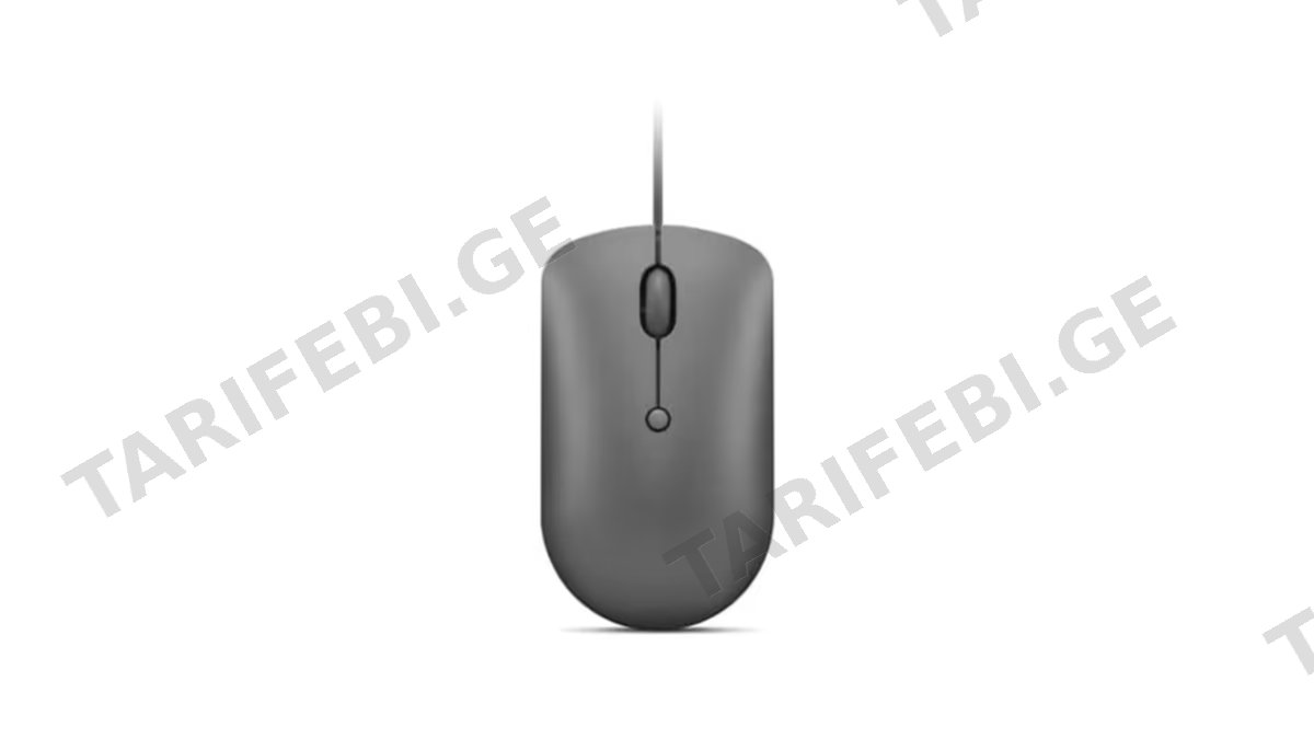 Lenovo 540 USB-C Wired Mouse GY51D20876