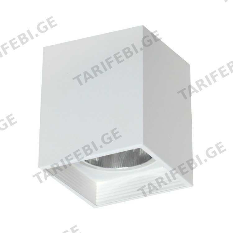 სანათი წერტილოვანი Luminex Downlight square 7252 1x60W E27 თეთრი