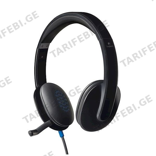 ყურსასმენი Logitech H540 Corded Headset Black L981-000480