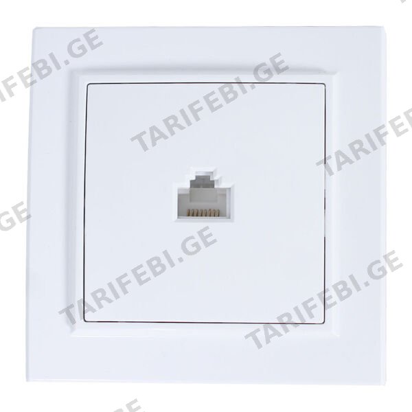 ინტერნეტის როზეტი EKF RJ-45