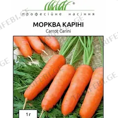 სტაფილოს თესლი ELITSORT კარინი 1 გრ