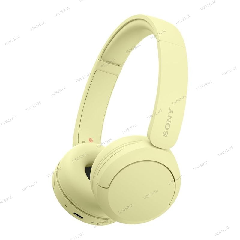 SONY WH-CH520/YZ