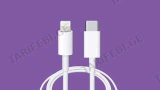 Apple - Type-C to Lightning Cable (1m)