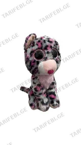 Tasha the leopard cat