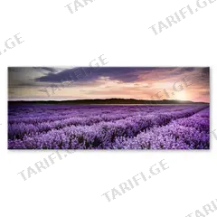 სურათი მინაზე Styler LAVENDER FIELD EX372 50X125