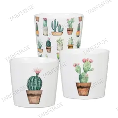 კერამიკული ქოთანი ყვავილებისთვის Scheurich 870/07 COVER-POT CACTUS GARDEN