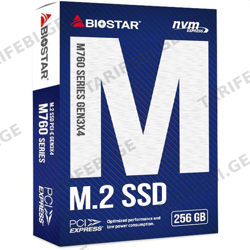 მყარი დისკი BIOSTAR / SSD/ M760-256GB