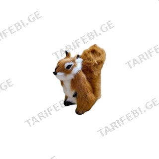ციყვი