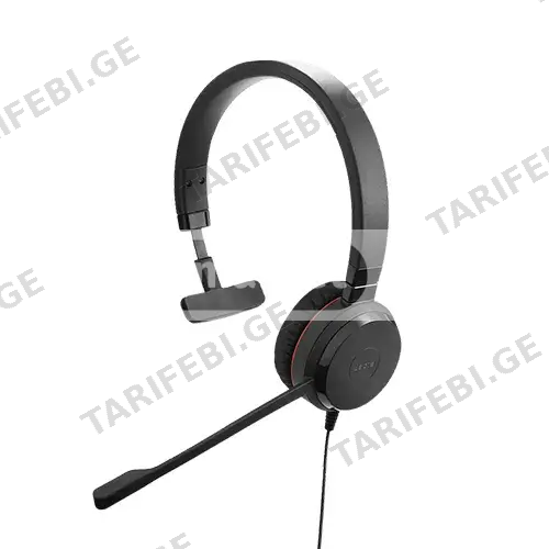 ყურსასმენი - Jabra Evolve 30 II USB C/A Mono MS