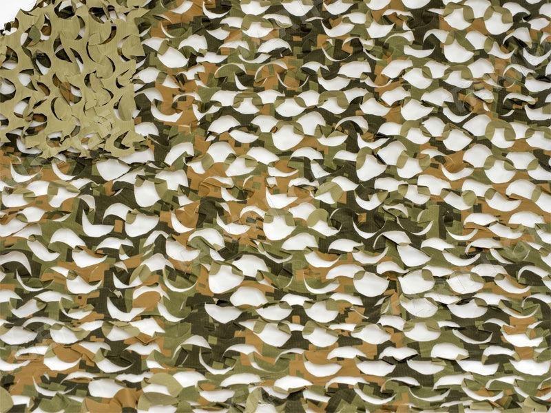 Camosystems Пейзаж Полынь 3D 2,4×3