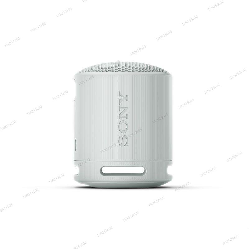 SONY Speaker SRS-XB100/HCE Gray