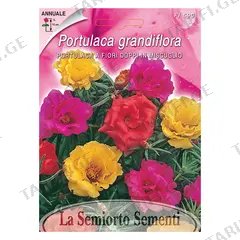 დანდურის თესლი Portulaca Grandiflora DOUBLE MIX FI590-MAXIFLOR