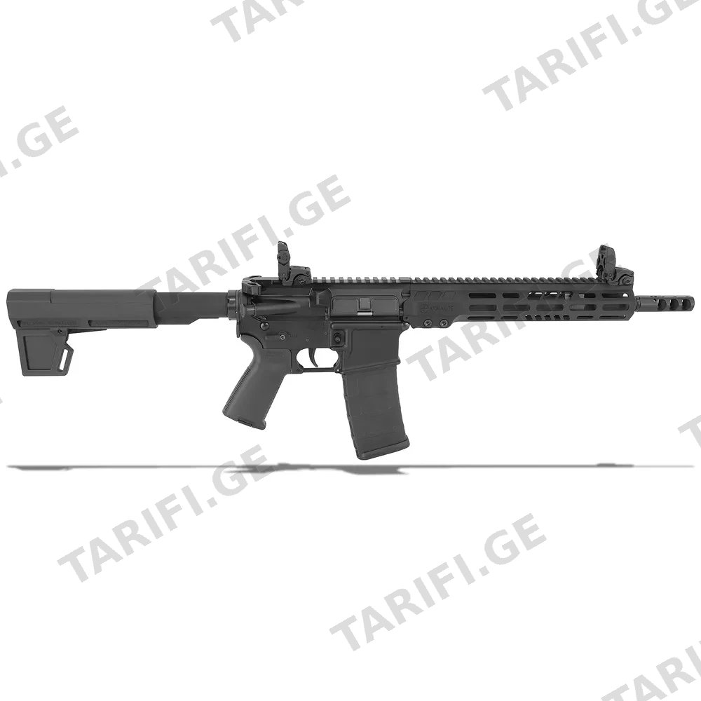 ARMALITE M15 P11