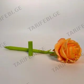 კალამი ვარდი
