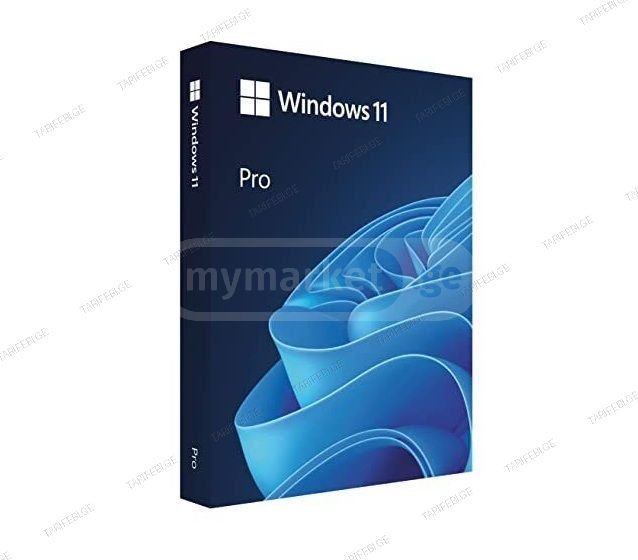 ლიცენზირებული პროგრამა Windows 11 Pro