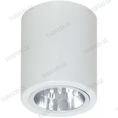 სანათი წერტილოვანი Luminex Downlight round 7236 D11 1xE27 60W თეთრი