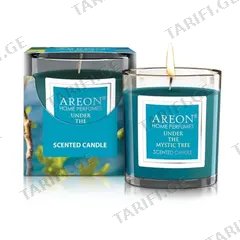 სანთელი სურნელოვანი მისტიკური ხე AREON 120 გრ 03988