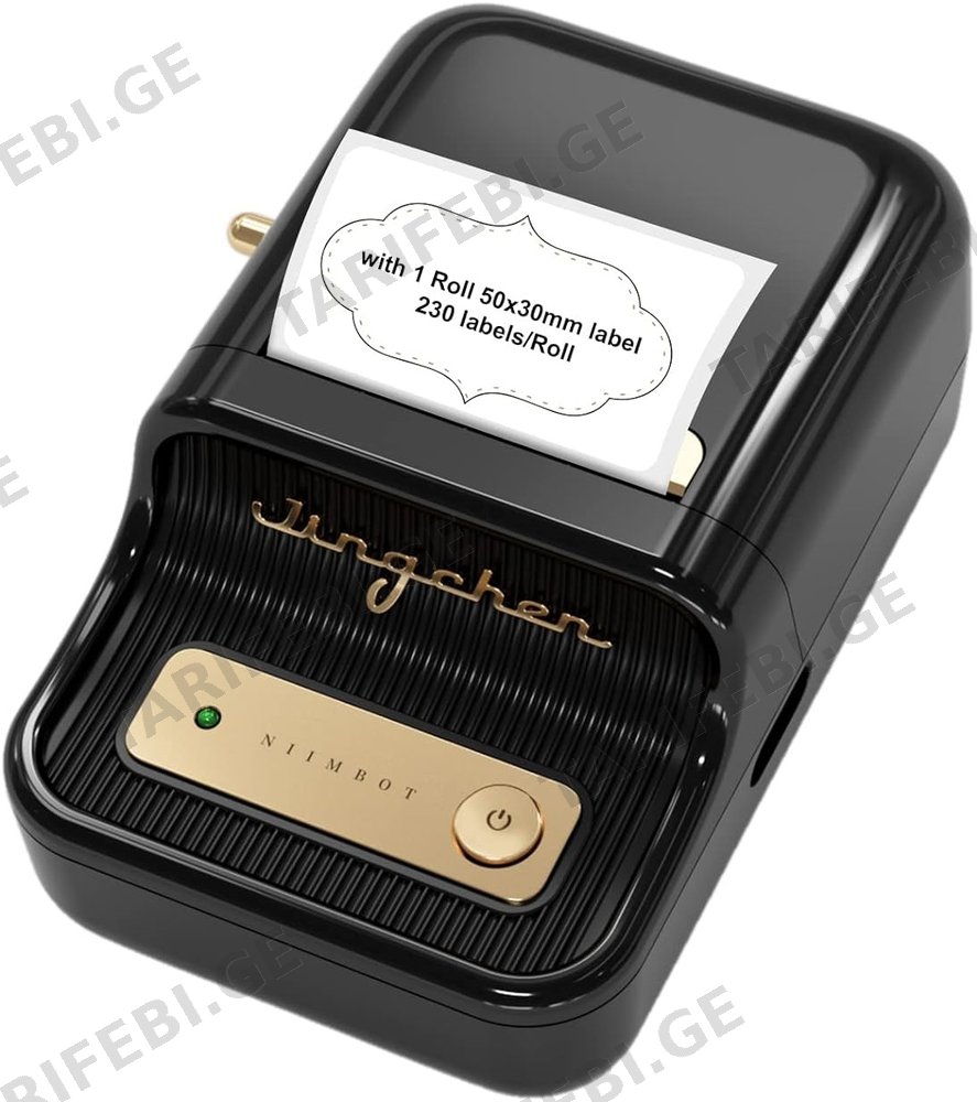 თერმო პრინტერი Niimbot B21 Thermal Label Printer Black