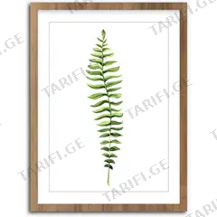 სურათი ჩარჩოში Styler Wooden Fern FR278 30X40 სმ