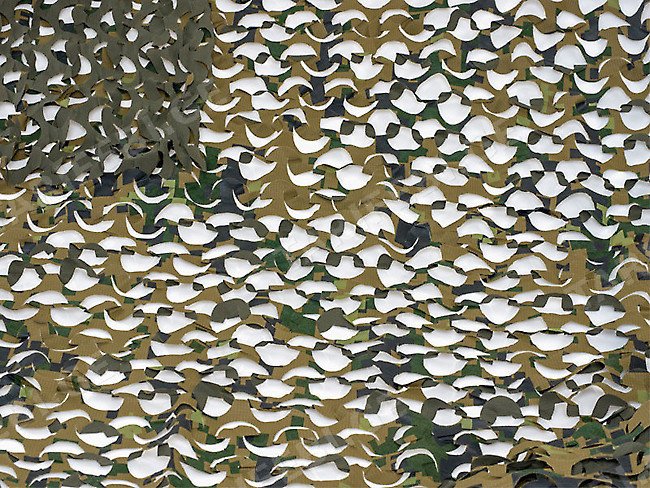 Пейзаж Лес 3D 2,4х1,5