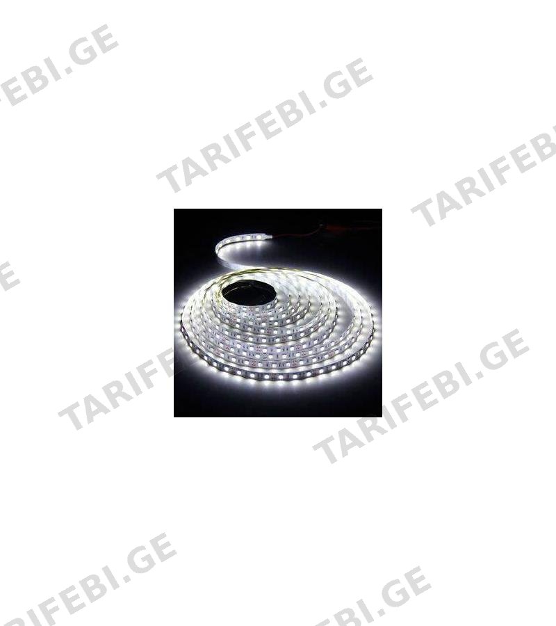 ლენტური განათება SND-21 12V-5M თეთრი