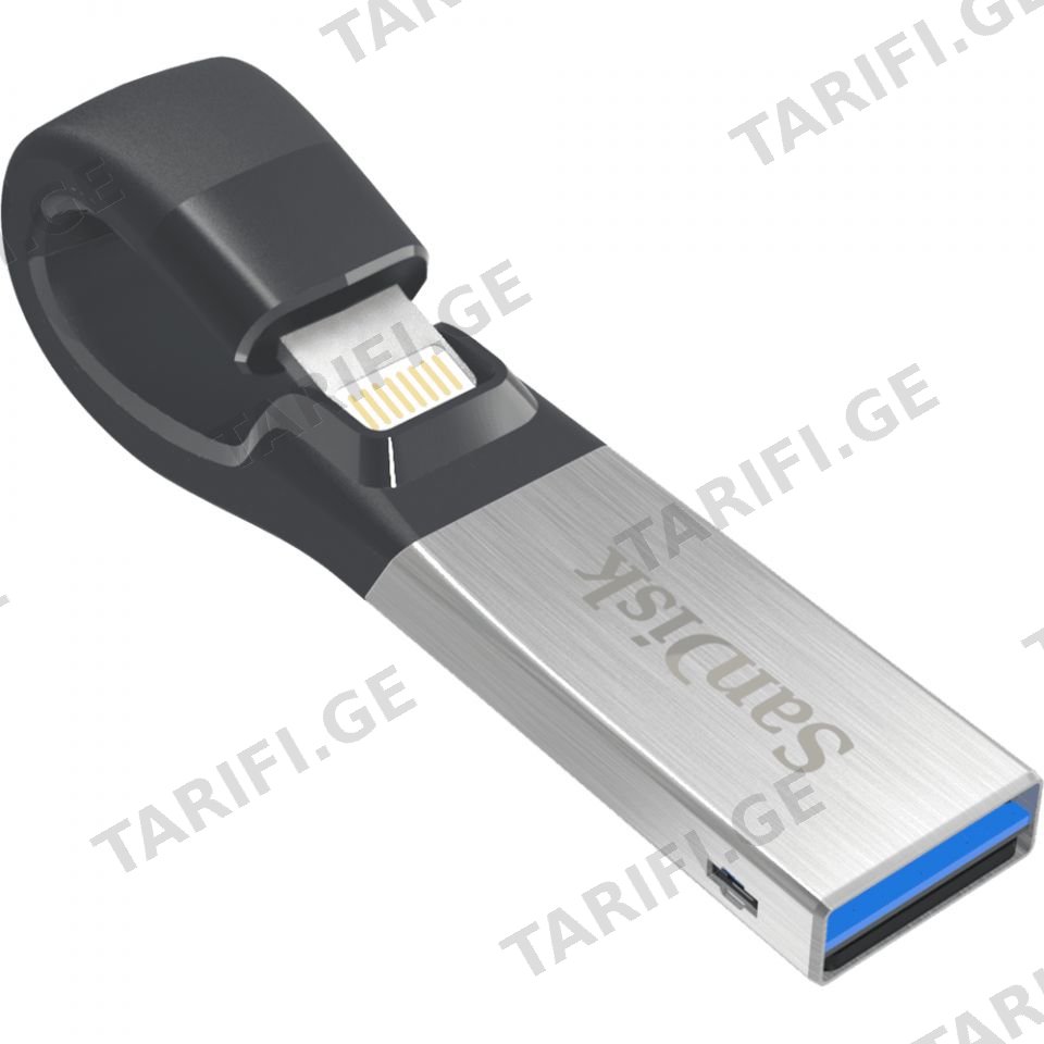 USB ფლეშ მეხსიერება SanDisk SDIX30C-032G-GN6NN