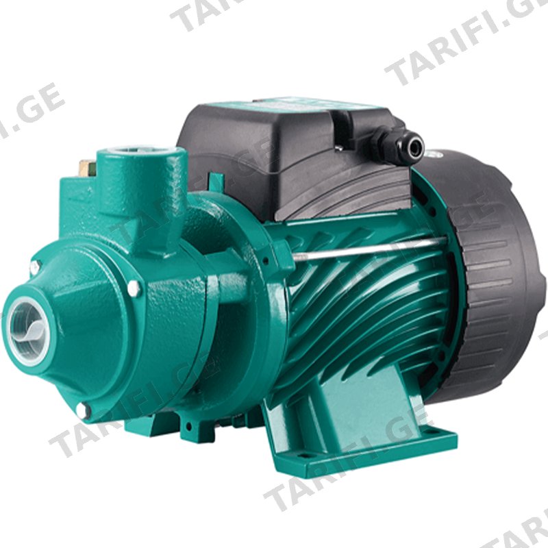 ზედაპირის წყლის ტუმბო SCHPINDEL QB50 (220 W)