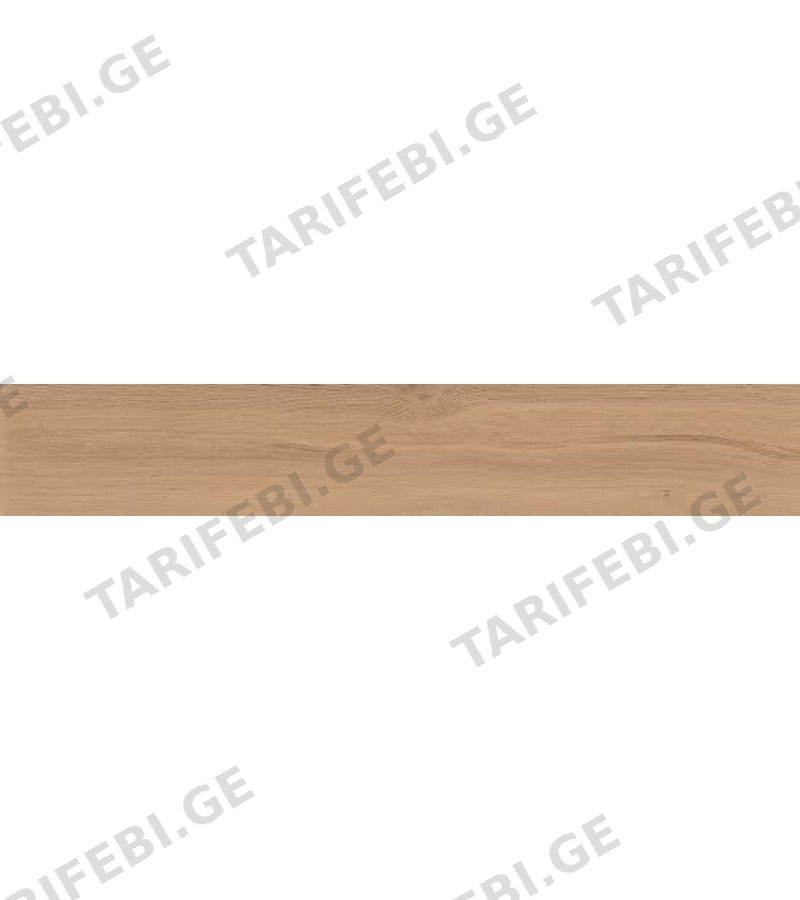 კერამოგრანიტი NATIONAL FST ROBLE MT 22.5X119.5 CICOGRES S.A