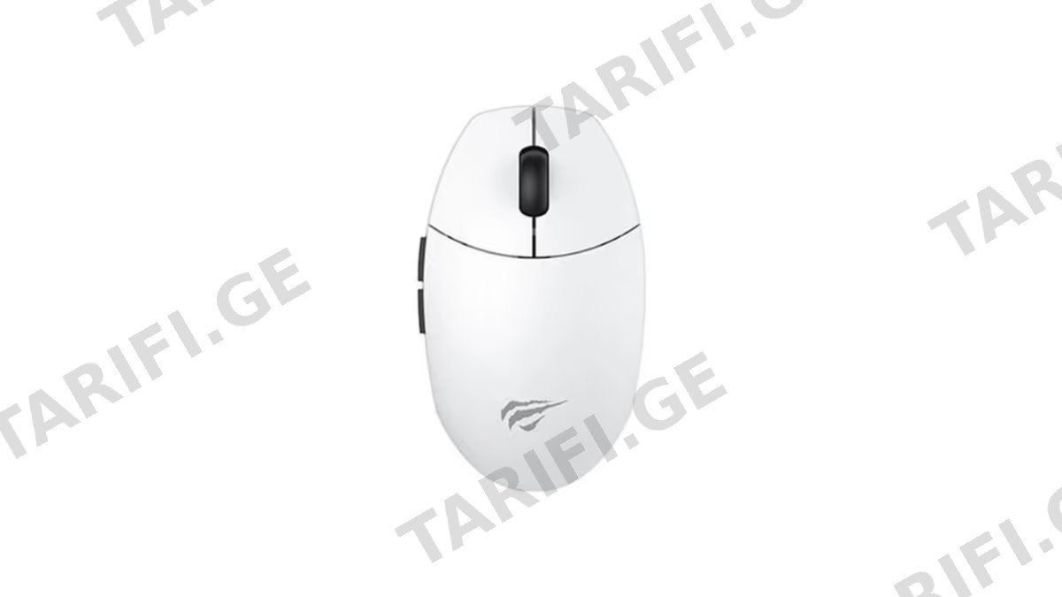 Havit Gaming Wireless Mouse HV-MS1039W