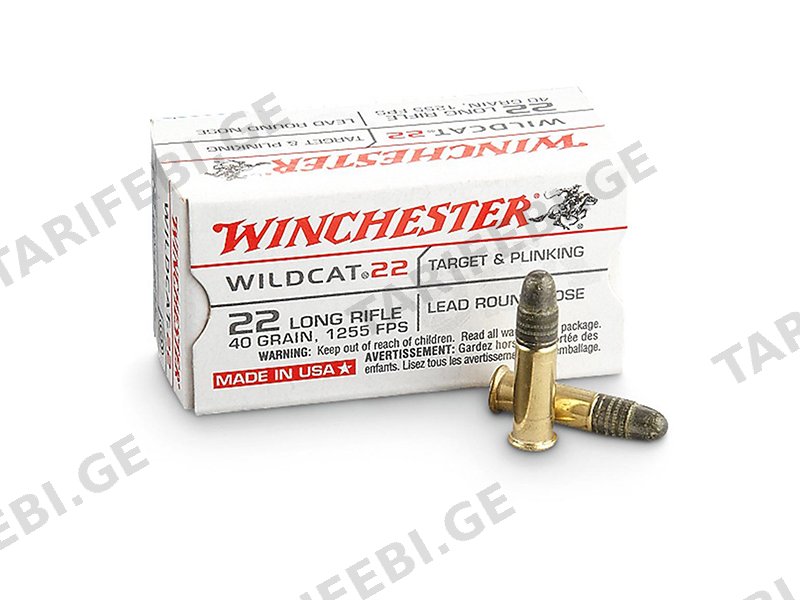 Winchester 22 LR