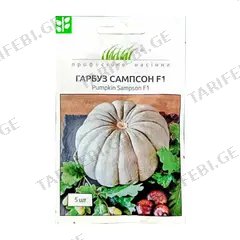 გოგრას თესლი Elitsort Seeds 5 ც