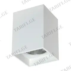 სანათი წერტილოვანი Luminex Downlight sguare 7244 1xE27 60W თეთრი