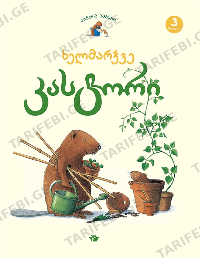ხელმარჯვე კასტორი
