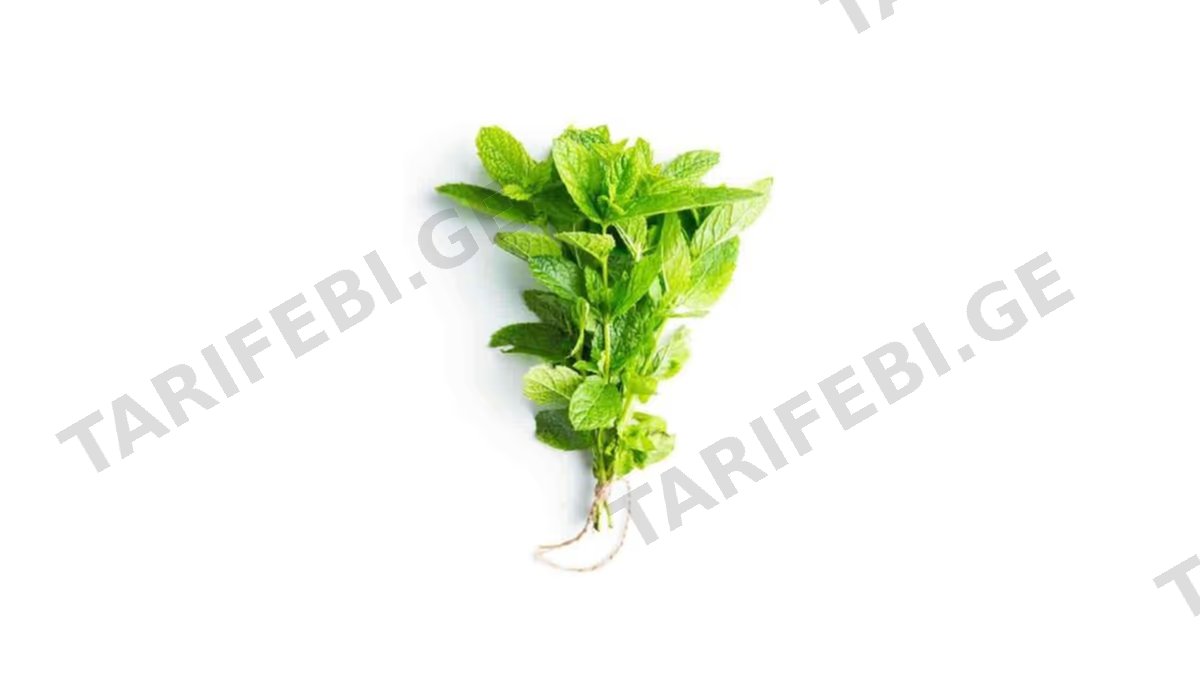 პიტნა