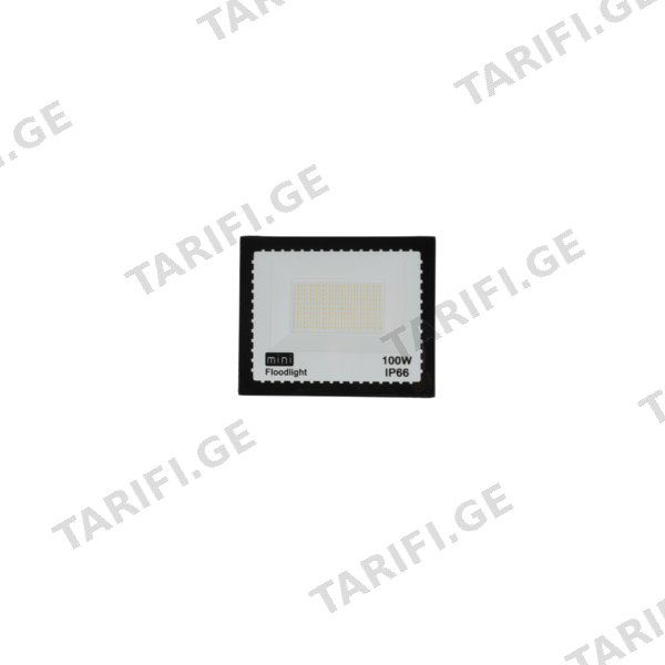 LED პროჟექტორი mini flood light 6500K (1018-17-DOB-100W)