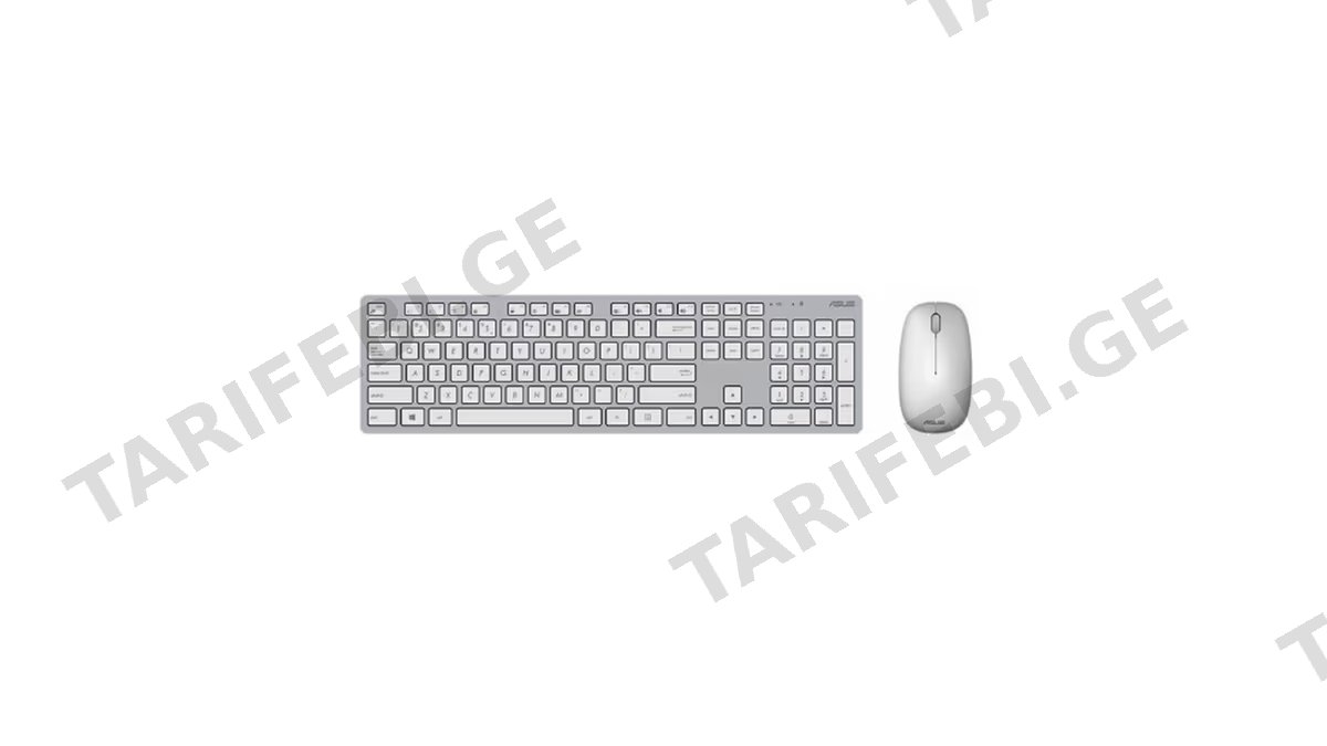 Asus W5000 Keyboard and Mouse