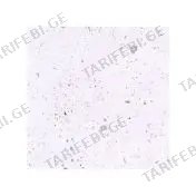 მეთლახი Planet White 45x45