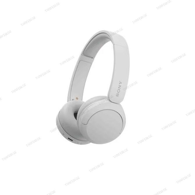 SONY WH-CH520/WZ