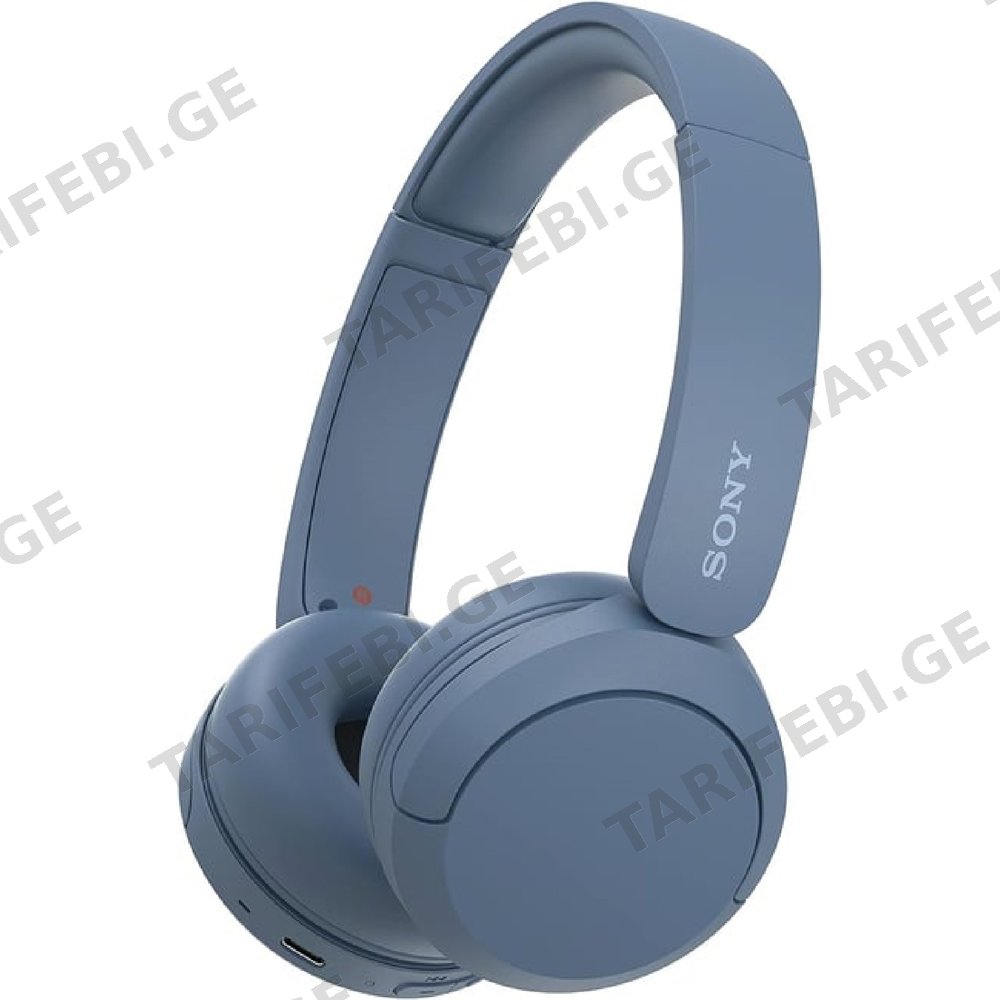 ყურსასმენი Sony WH-CH520L