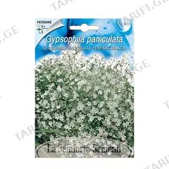 გიპსოფილას თესლი Gipsophyla PERENNE BIANCA FI560-MAXIFlor