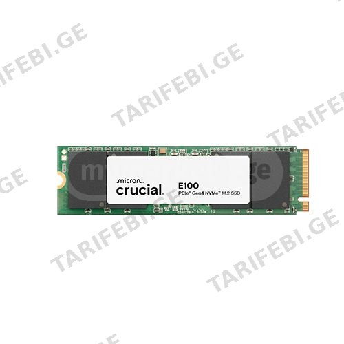 M2 SSD Crucial E100 1 TB PCIe 4.0