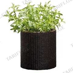 პლასტმასის ქოთანი ყვავილებისთვის Keter Cylinder Planter S 7 ლ