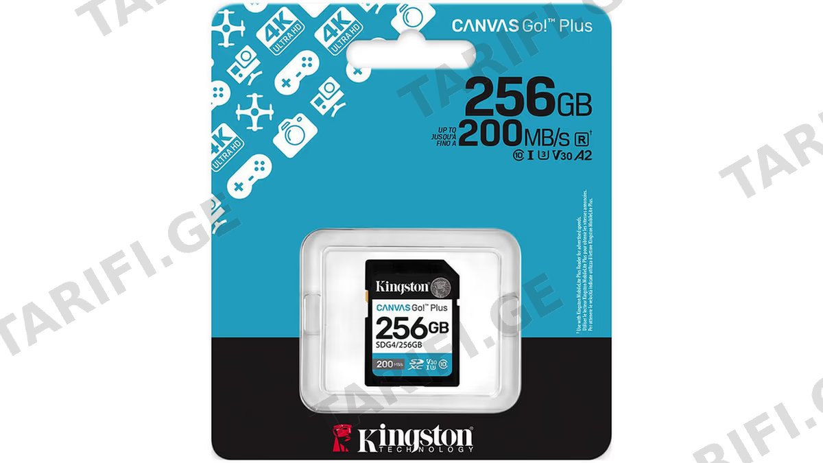 Kingston Canvas Go Plus 256GB SD Card | Up to 200MB/s | Class 10, UHS-I, U3, V30 | SDG4/256GB