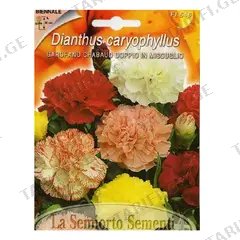 მიხაკის თესლი Carnation Doppio in MIX