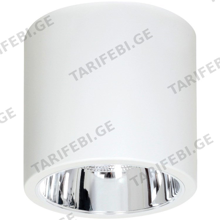სანათი წერტილოვანი Luminex Downlight round 7242 D22.9 1xE27 60W თეთრი
