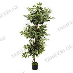 დეკორატიული ხე ქოთანში GS25006 190 სმ